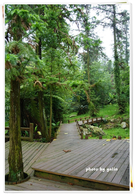 內湖國小:南投鹿谷夢幻學校「內湖國小」能在這裡讀書好幸福 內湖國小:南投鹿谷夢幻學校「內湖國小」能在這裡讀書好幸福