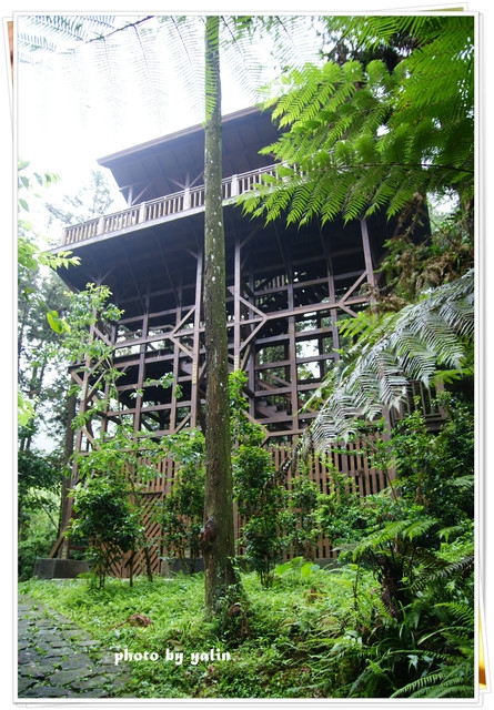 內湖國小:南投鹿谷夢幻學校「內湖國小」能在這裡讀書好幸福 內湖國小:南投鹿谷夢幻學校「內湖國小」能在這裡讀書好幸福