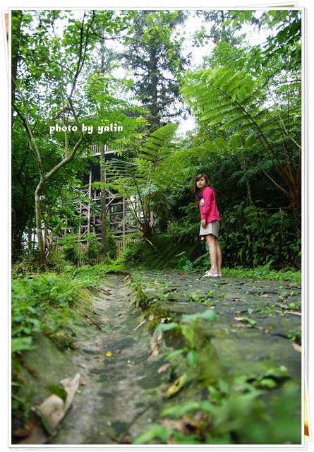 內湖國小:南投鹿谷夢幻學校「內湖國小」能在這裡讀書好幸福 內湖國小:南投鹿谷夢幻學校「內湖國小」能在這裡讀書好幸福