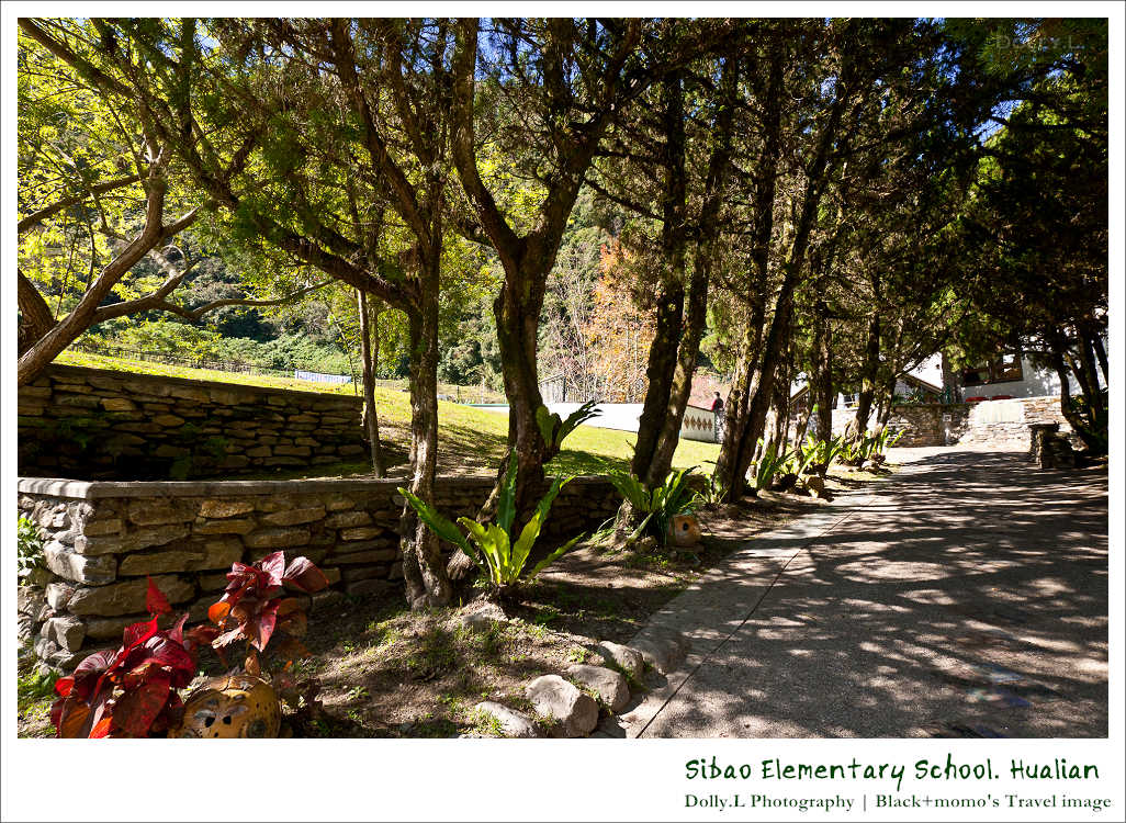 130106-P066.jpg 130106-P066.jpg