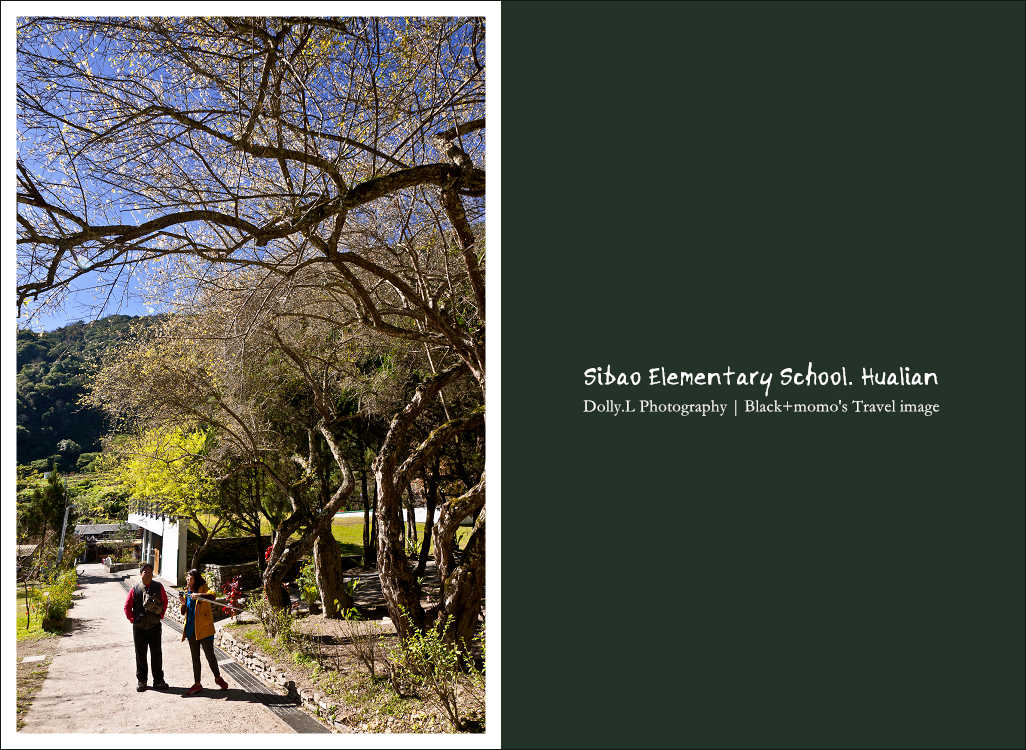 130106-P057.jpg 130106-P057.jpg