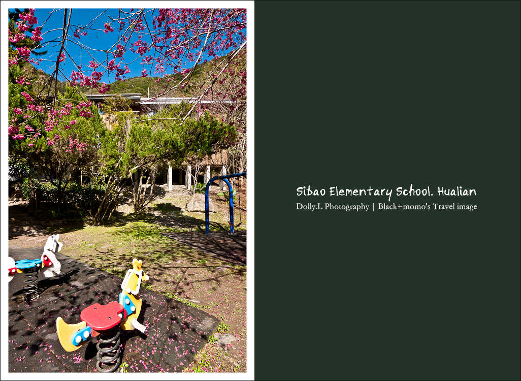 130106-P082.jpg 130106-P082.jpg