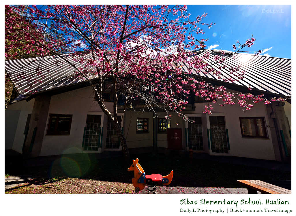 130106-P083.jpg 130106-P083.jpg