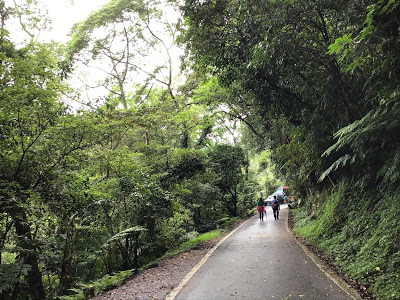 桃園景點[百吉步道] 善妹好友半日遊；林蔭密布，芬多精瀰漫，好走、好拍、好悠閒