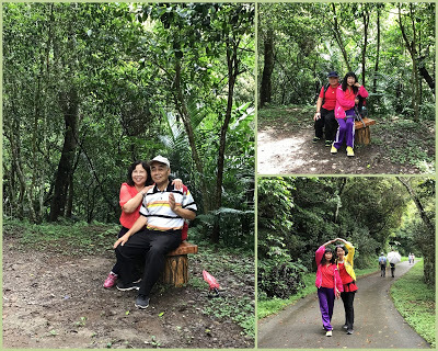 桃園景點[百吉步道] 善妹好友半日遊；林蔭密布，芬多精瀰漫，好走、好拍、好悠閒