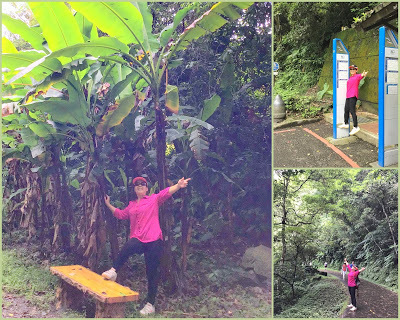 桃園景點[百吉步道] 善妹好友半日遊；林蔭密布，芬多精瀰漫，好走、好拍、好悠閒