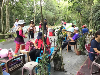 桃園景點[百吉步道] 善妹好友半日遊；林蔭密布，芬多精瀰漫，好走、好拍、好悠閒