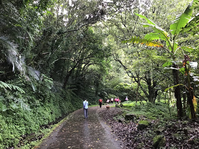 桃園景點[百吉步道] 善妹好友半日遊；林蔭密布，芬多精瀰漫，好走、好拍、好悠閒