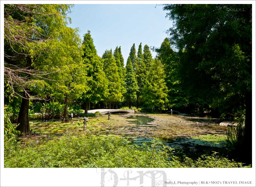田尾│菁芳園～讓人迷醉的歐洲風情畫
