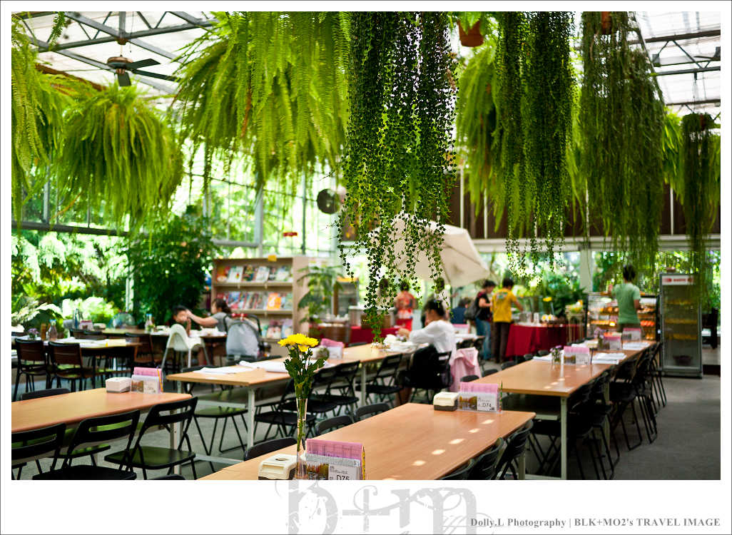 田尾│菁芳園～讓人迷醉的歐洲風情畫