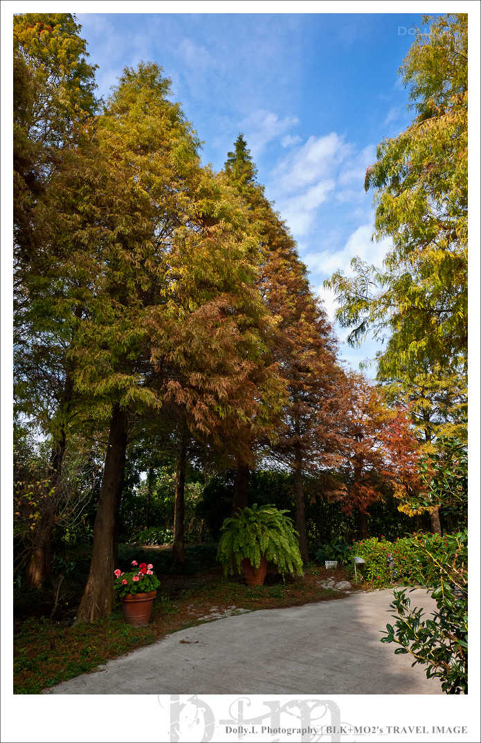 田尾│菁芳園～讓人迷醉的歐洲風情畫