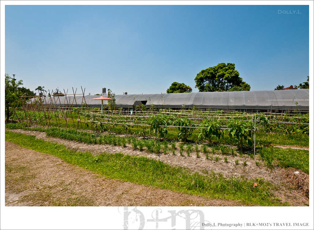田尾│菁芳園～讓人迷醉的歐洲風情畫