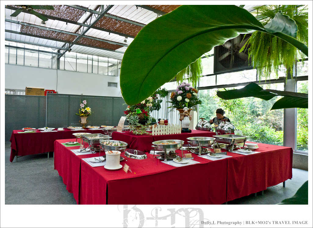 田尾│菁芳園～讓人迷醉的歐洲風情畫