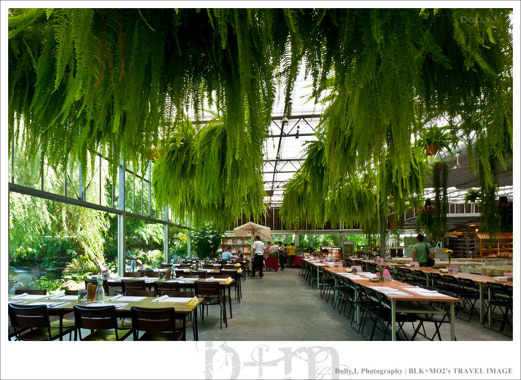 田尾│菁芳園～讓人迷醉的歐洲風情畫