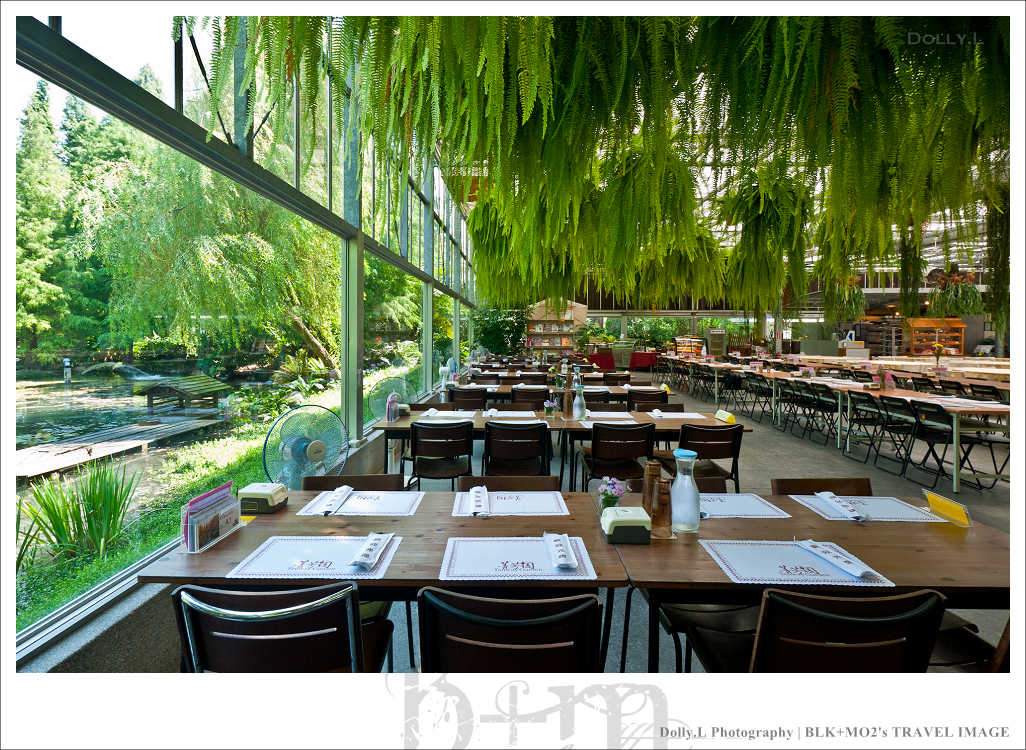 田尾│菁芳園～讓人迷醉的歐洲風情畫