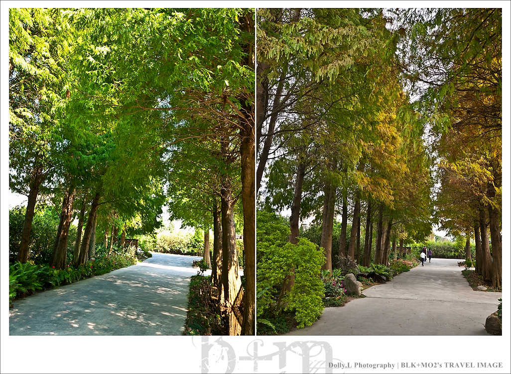 田尾│菁芳園～讓人迷醉的歐洲風情畫