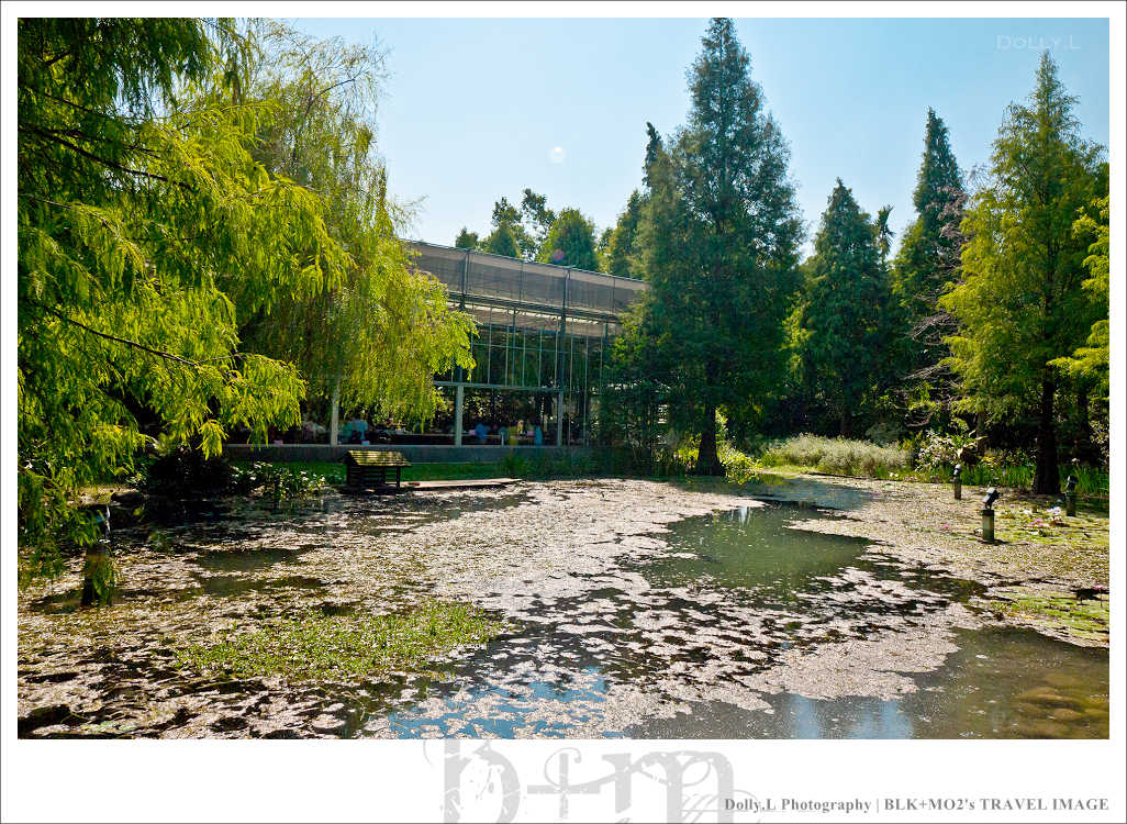 田尾│菁芳園～讓人迷醉的歐洲風情畫