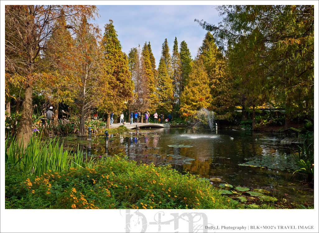 田尾│菁芳園～讓人迷醉的歐洲風情畫