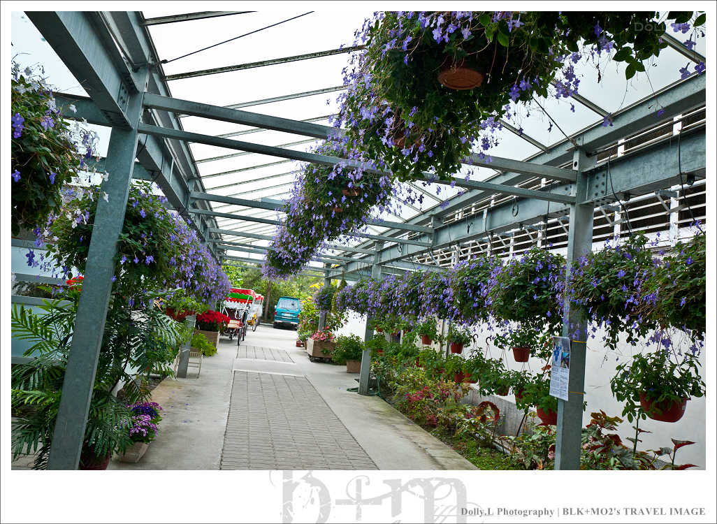 田尾│菁芳園～讓人迷醉的歐洲風情畫