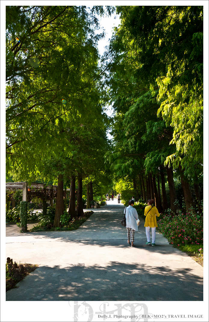 田尾│菁芳園～讓人迷醉的歐洲風情畫