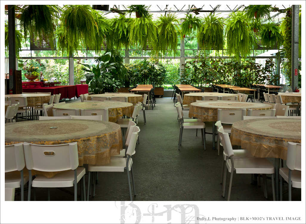 田尾│菁芳園～讓人迷醉的歐洲風情畫