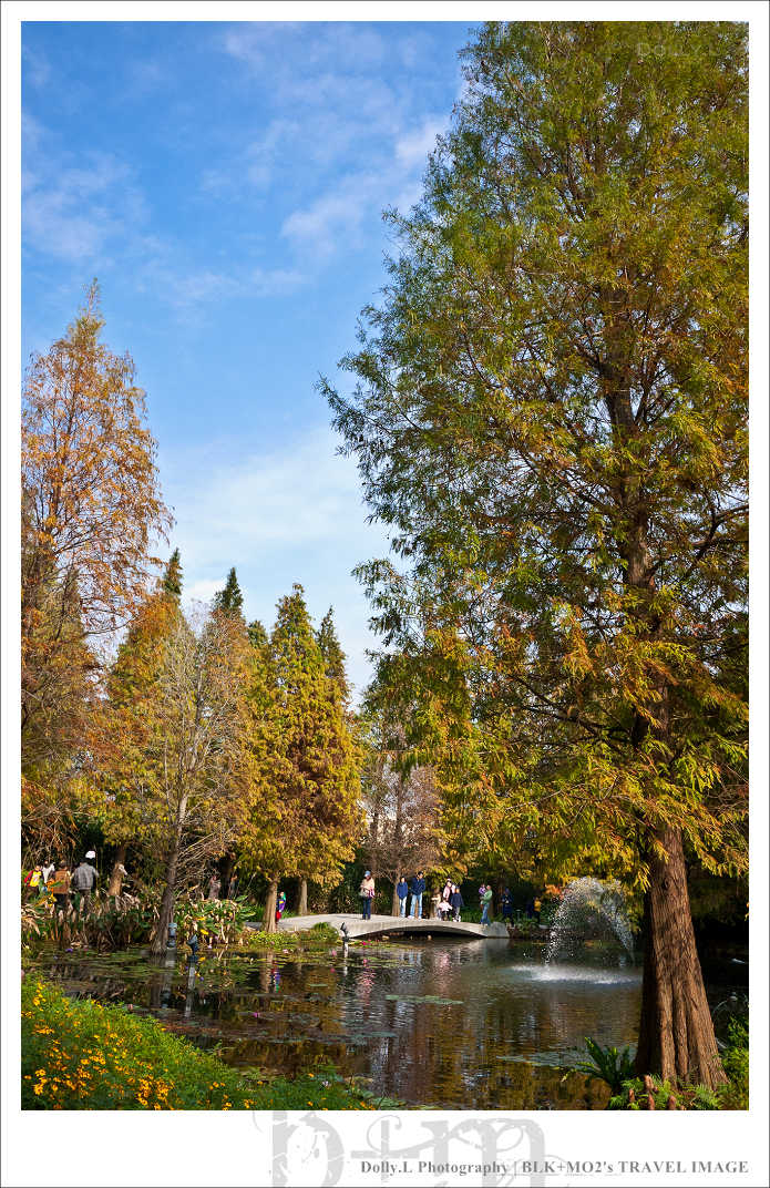 田尾│菁芳園～讓人迷醉的歐洲風情畫