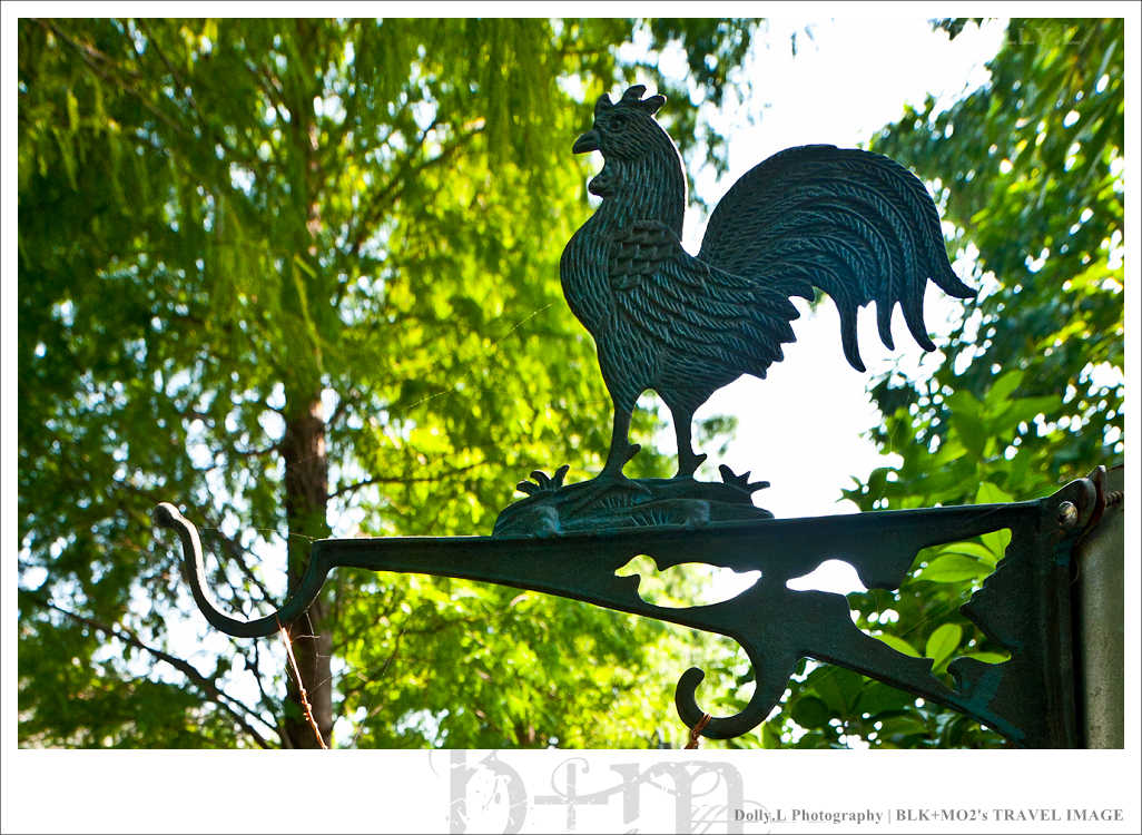 田尾│菁芳園～讓人迷醉的歐洲風情畫