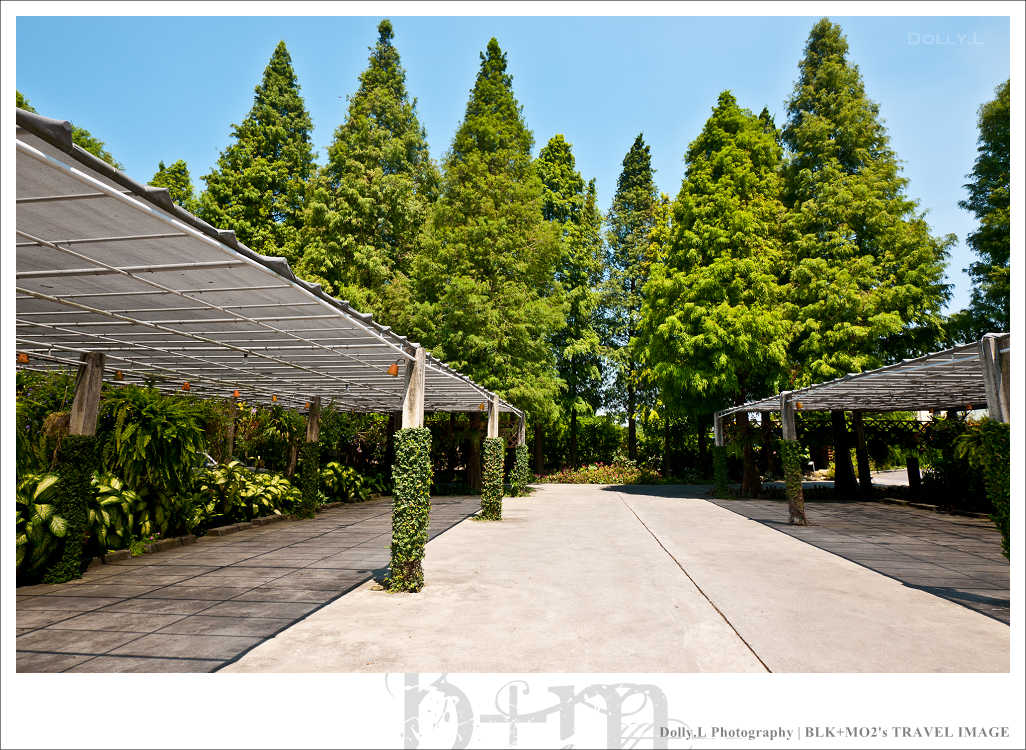 田尾│菁芳園～讓人迷醉的歐洲風情畫