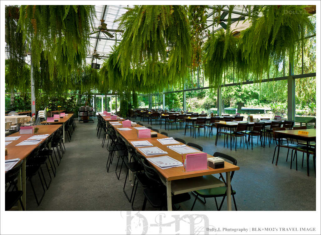 田尾│菁芳園～讓人迷醉的歐洲風情畫