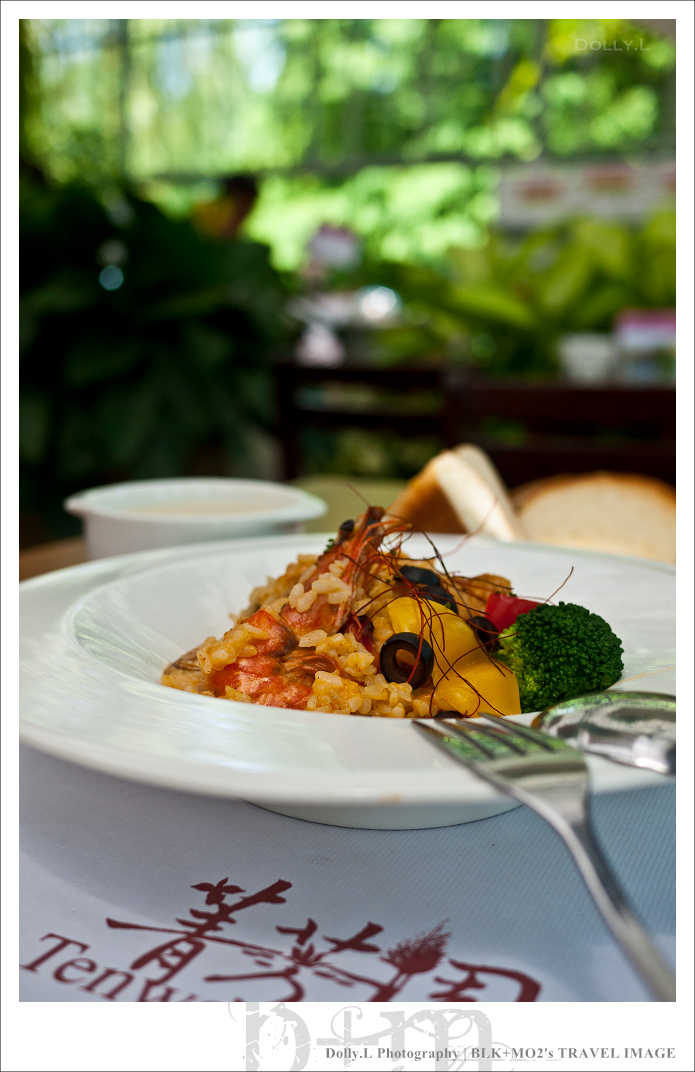 田尾│菁芳園～讓人迷醉的歐洲風情畫