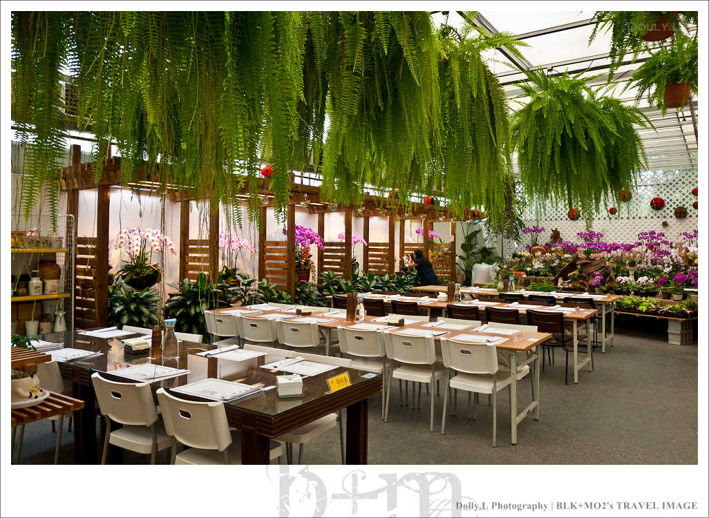 田尾│菁芳園～讓人迷醉的歐洲風情畫