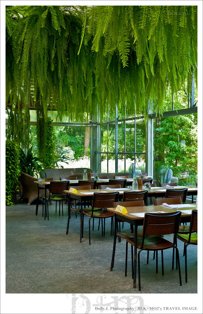 田尾│菁芳園～讓人迷醉的歐洲風情畫