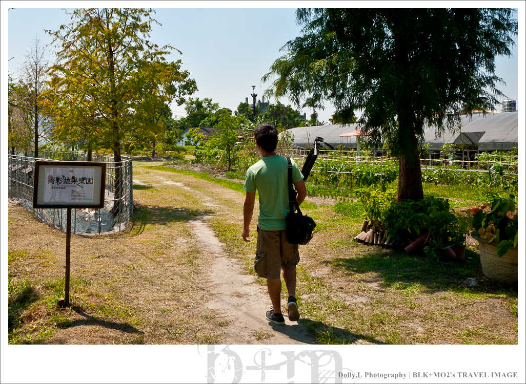 田尾│菁芳園～讓人迷醉的歐洲風情畫
