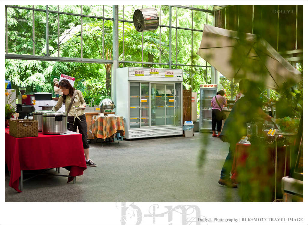 田尾│菁芳園～讓人迷醉的歐洲風情畫