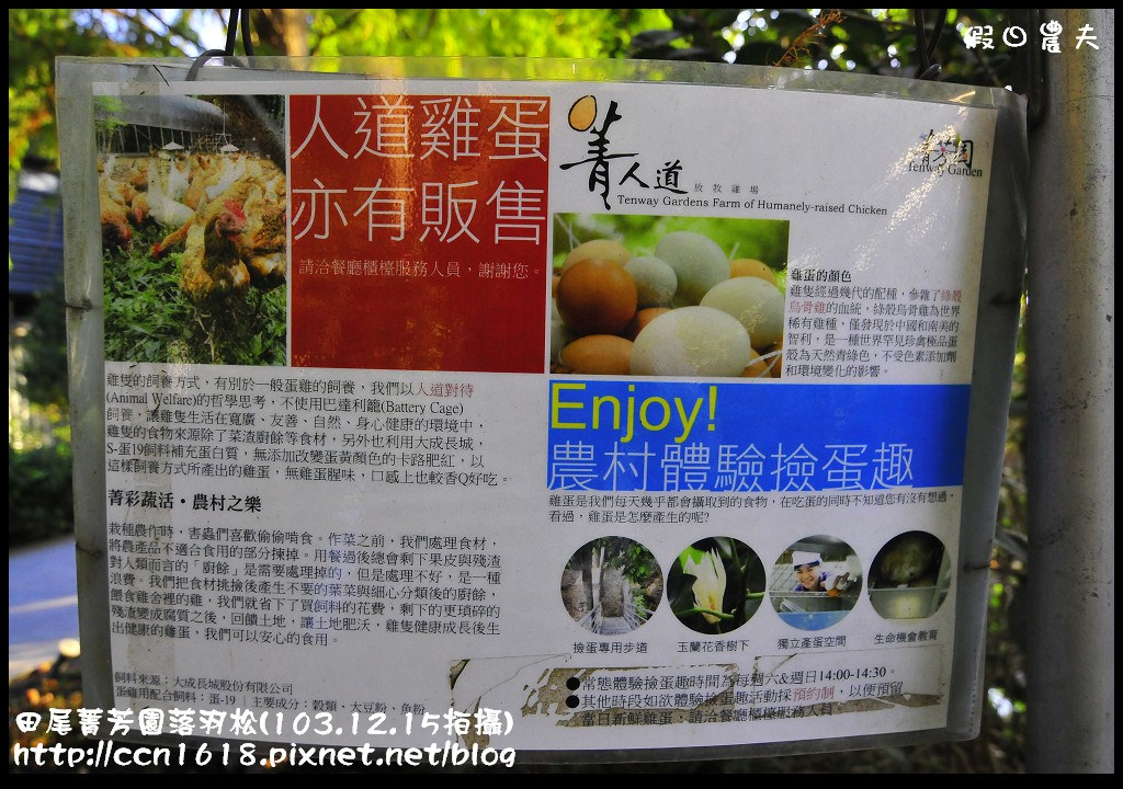田尾菁芳園落羽松_DSC9067 田尾菁芳園落羽松_DSC9067