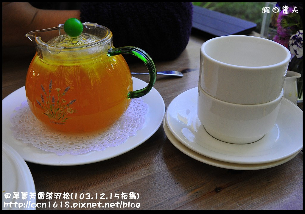 田尾菁芳園落羽松_DSC9008 田尾菁芳園落羽松_DSC9008