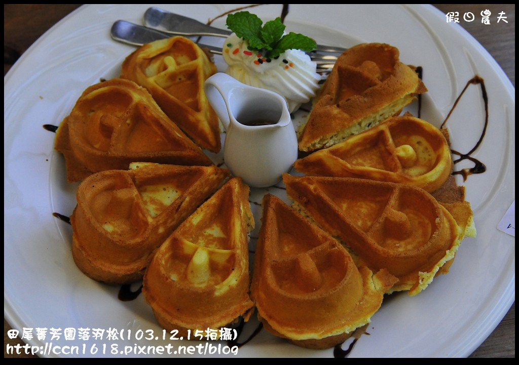 田尾菁芳園落羽松_DSC8988 田尾菁芳園落羽松_DSC8988