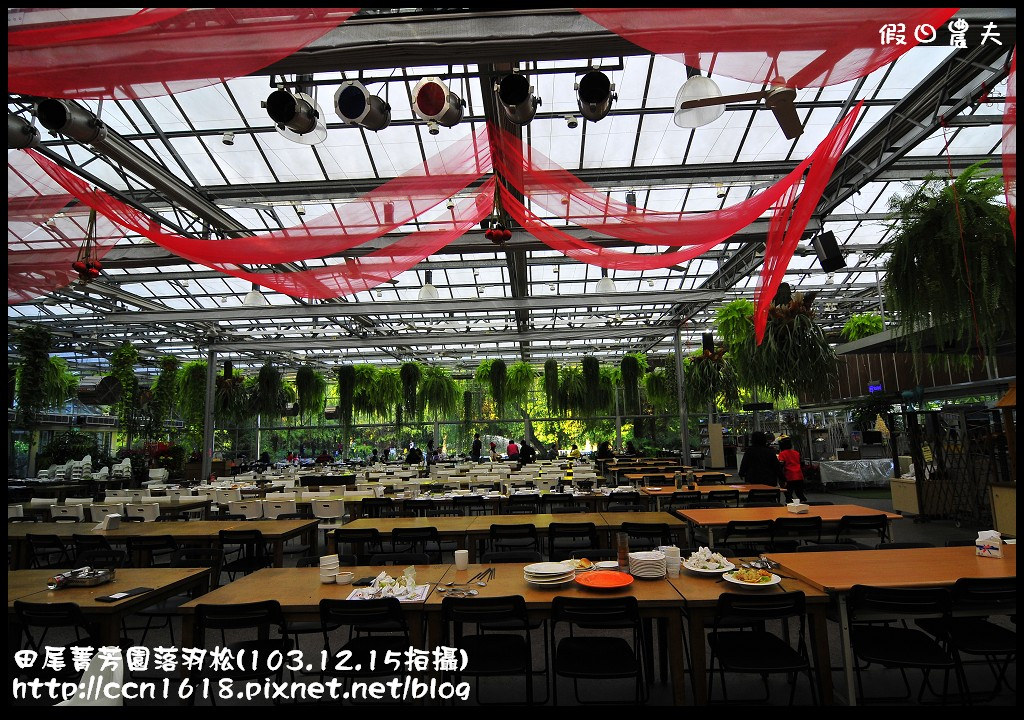 田尾菁芳園落羽松_DSC8945 田尾菁芳園落羽松_DSC8945