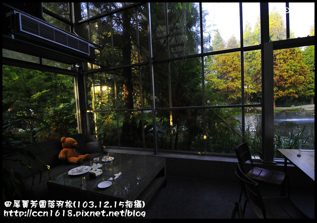 田尾菁芳園落羽松_DSC9101 田尾菁芳園落羽松_DSC9101