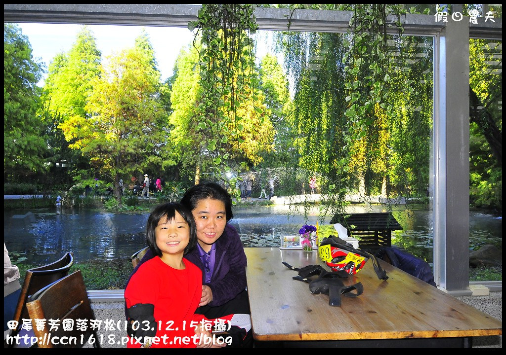 田尾菁芳園落羽松_DSC8962 田尾菁芳園落羽松_DSC8962