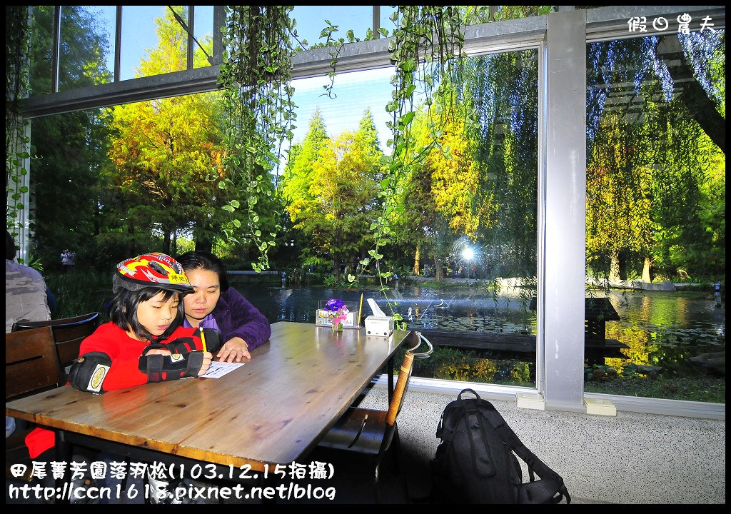 田尾菁芳園落羽松_DSC8957 田尾菁芳園落羽松_DSC8957