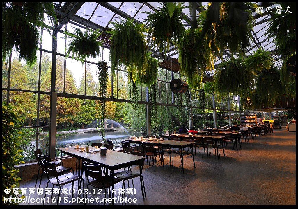 田尾菁芳園落羽松_DSC9149 田尾菁芳園落羽松_DSC9149