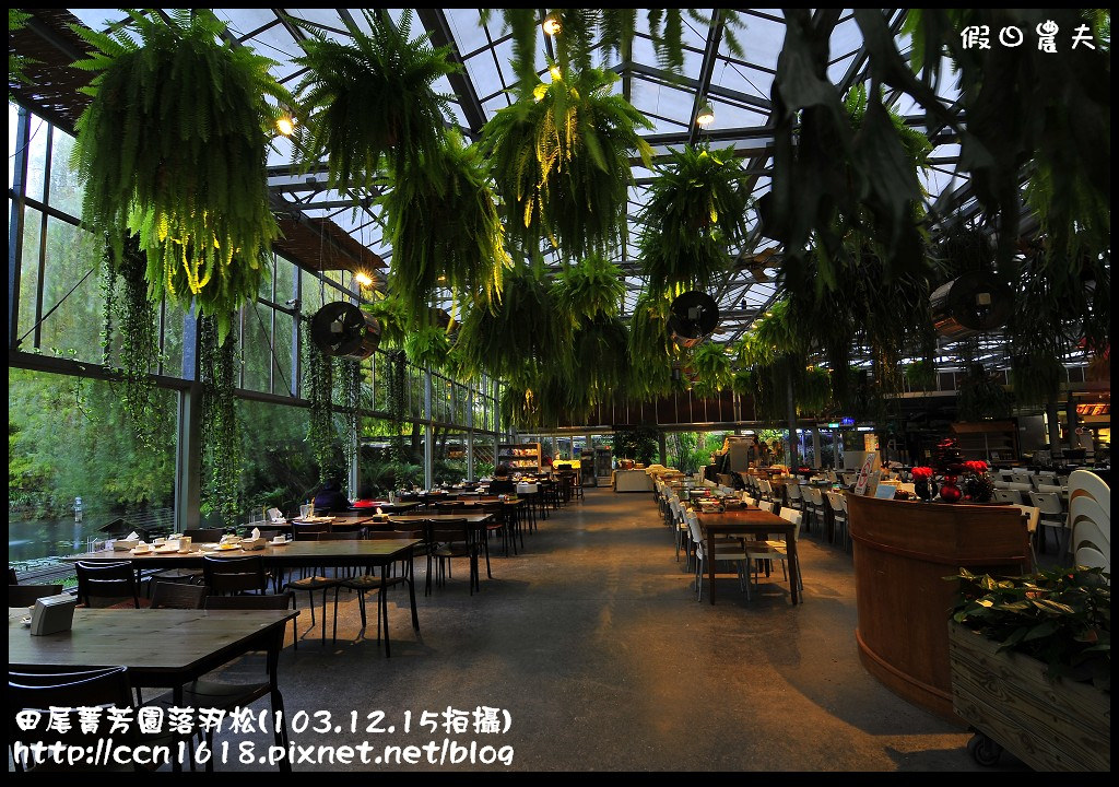 田尾菁芳園落羽松_DSC9148 田尾菁芳園落羽松_DSC9148