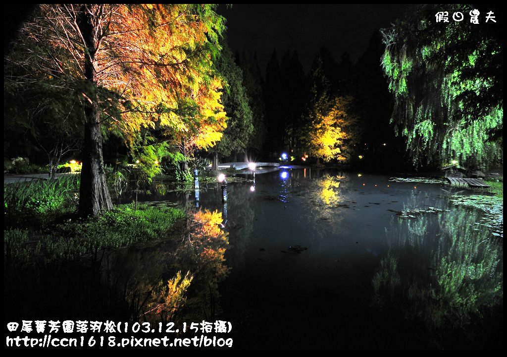 田尾菁芳園落羽松_DSC9229 田尾菁芳園落羽松_DSC9229
