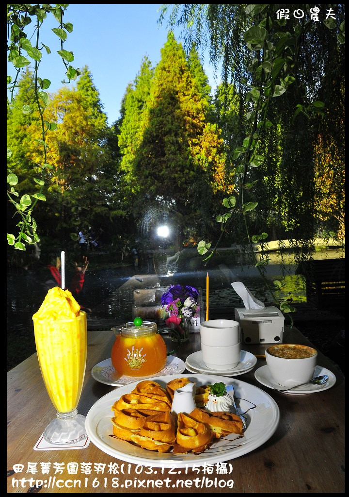 田尾菁芳園落羽松_DSC8999 田尾菁芳園落羽松_DSC8999
