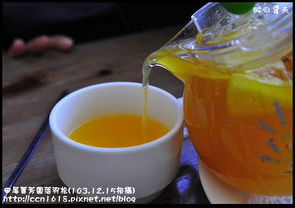 田尾菁芳園落羽松_DSC9014 田尾菁芳園落羽松_DSC9014