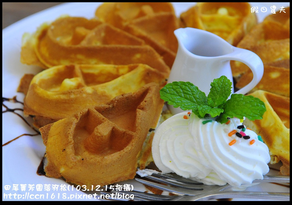 田尾菁芳園落羽松_DSC8991 田尾菁芳園落羽松_DSC8991