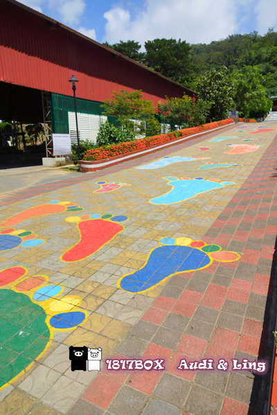 【屏東。牡丹】牡丹國小。全台最美麗的國小。彩虹階梯。校園８景。單車環島熱門景點