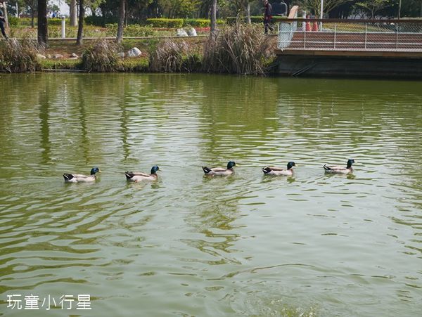 溪洲公園8.JPG