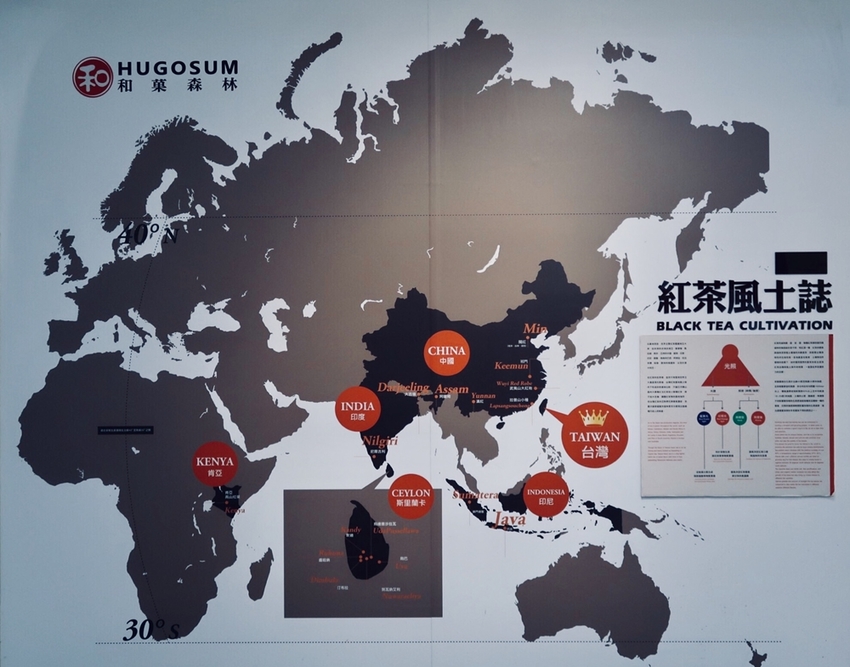 南投旅遊景點/魚池Hugosum和菓森林紅茶莊園，歡迎來鹿篙喝好茶結好果 - Ann‧榜哥‧生活事務所